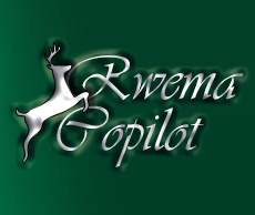 Rwema AI Copilot